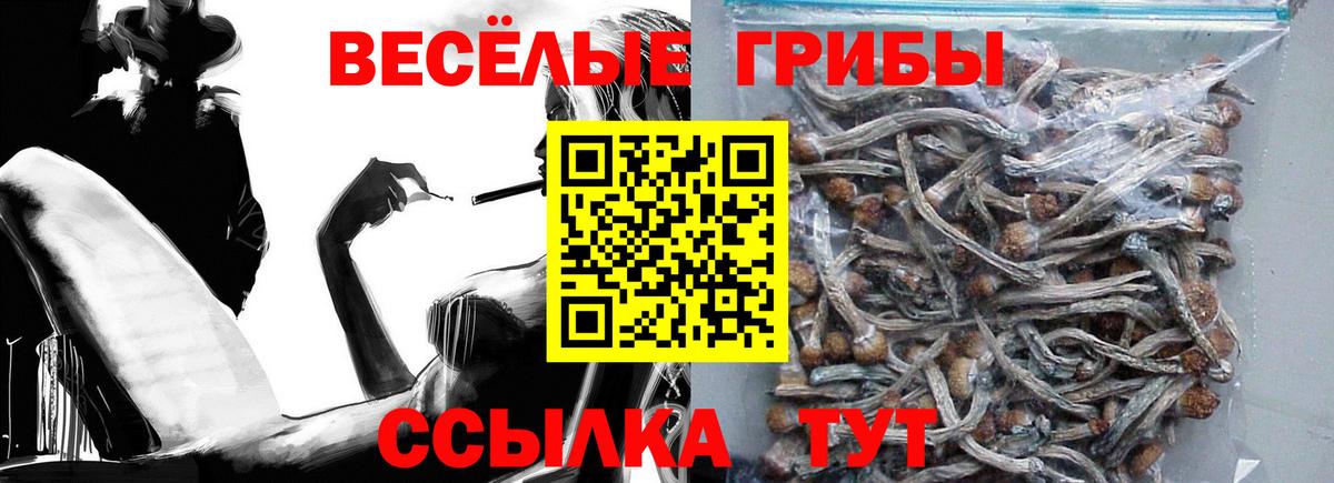 Псилоцибиновые грибы GOLDEN TEACHER Похвистнево